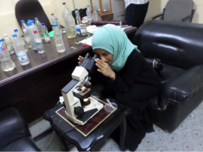 Doa'a examines blood samples of dengue patients