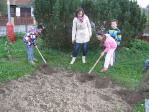 Mission of the Young and planting of the trees.