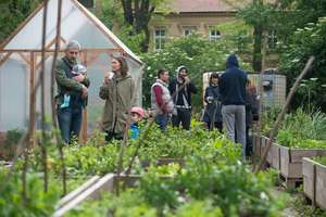 Fundraising at a garden for setup or another one