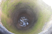 Fill the gap in funding an Elephant Pump project