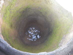 Fill the gap in funding an Elephant Pump project