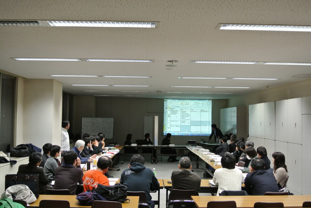 Japan Earthquake Relief Project