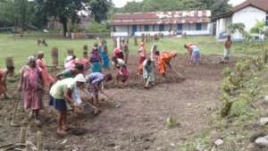 Villagers made community kitchen garden