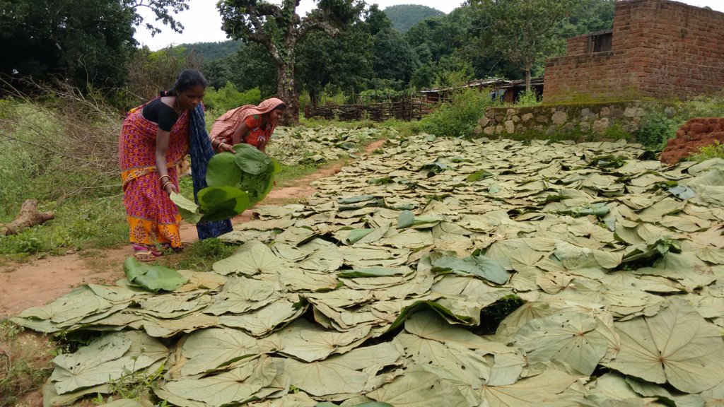 60 Dignified Days for a Woman