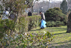 Cleaning the park near the shelter