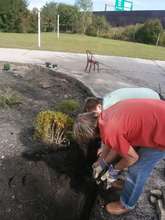 Clients cleaning the backyard