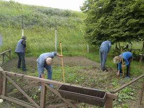 Work-therapy in the garden