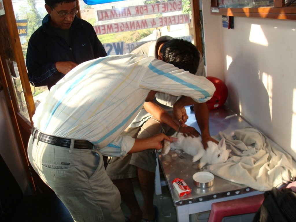 Shelters for 5000 Koshi Disaster Victims of Nepal