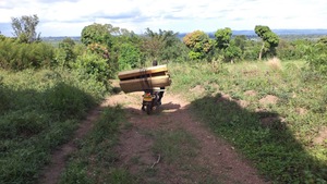 Riding away the wood form to another school
