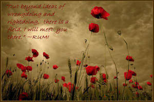 Poetry of Rumi
