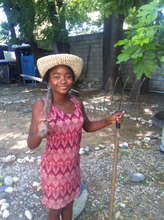 In the garden