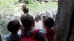 At the zoo
