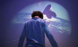We get rid of the manifestations of fear and fobia