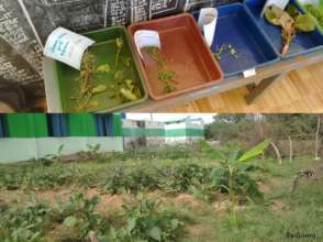 Kids worked on identifying herbal plants