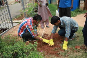 Corporate Volunteers planting nutritious saplings