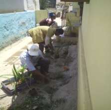 Greening the centres