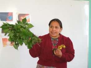 Nutrition workshop with Wuqu' Kawoq