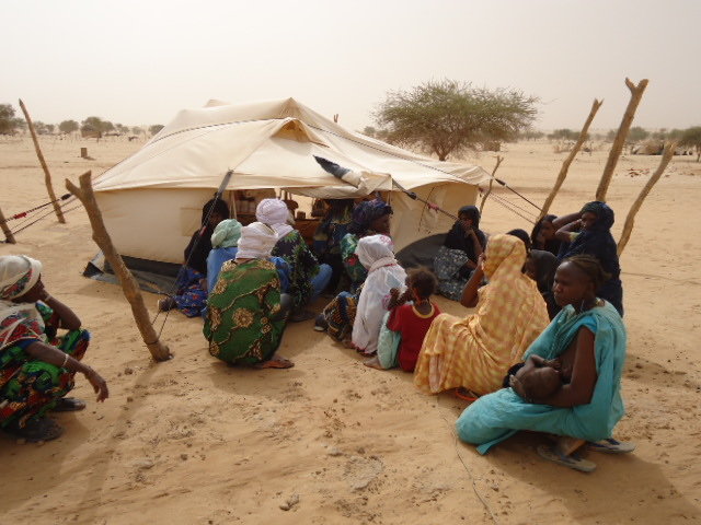 Support and Empower Malian Refugees in Niger