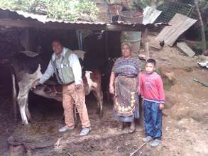 Sustainable Plan Moo