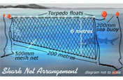 Developing a Shark-Safe Beach Protection Net