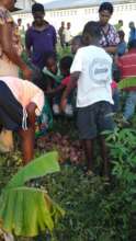 Children Harvesting Potatoes
