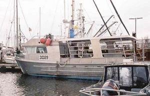 Reducing Harbor Porpoise By-Catch in the Black Sea