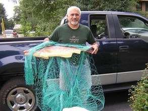 Dolphin/Porpoise-Safe Gillnet