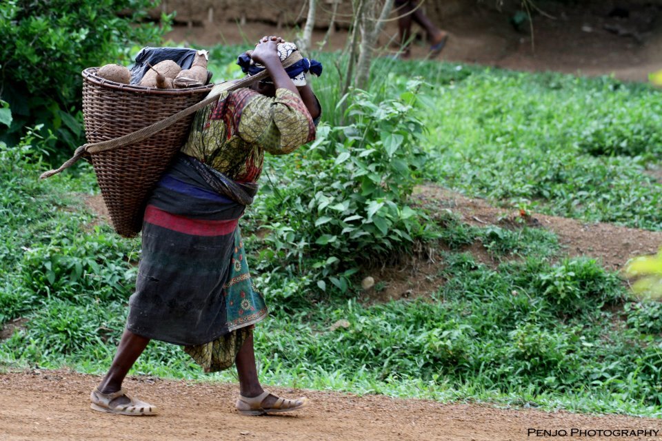 Domestic Violence Prevention Initiative Cameroon