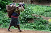 Domestic Violence Prevention Initiative Cameroon