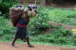 Domestic Violence Prevention Initiative Cameroon