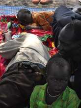 Hiding in the bush for safety.