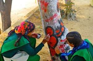 'Paint the tree' Campaign