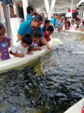 Visiting the aquarium