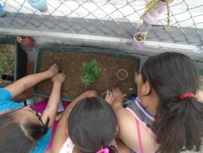 Garden Workshop