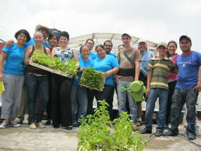 Green Roof in Mayama Day Centre