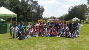 Summer activities at the park