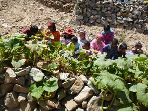 The vegetable patch in Peru to supplement lunches