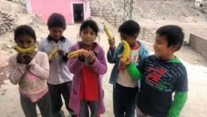 Daily Fruit in Peru
