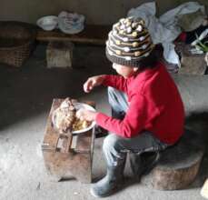 Sustainable plans for sustainable food