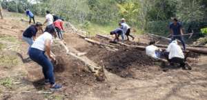 Plan Huertos for school meals