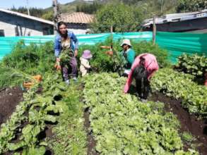 Extra food in Ecuador