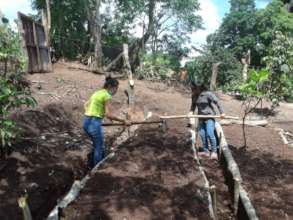 School sustainable vegetable gardens