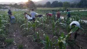 Long term sustainable food