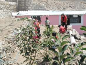 School orchard in Peru