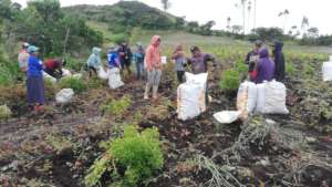 Sustainable plans will include food for the school