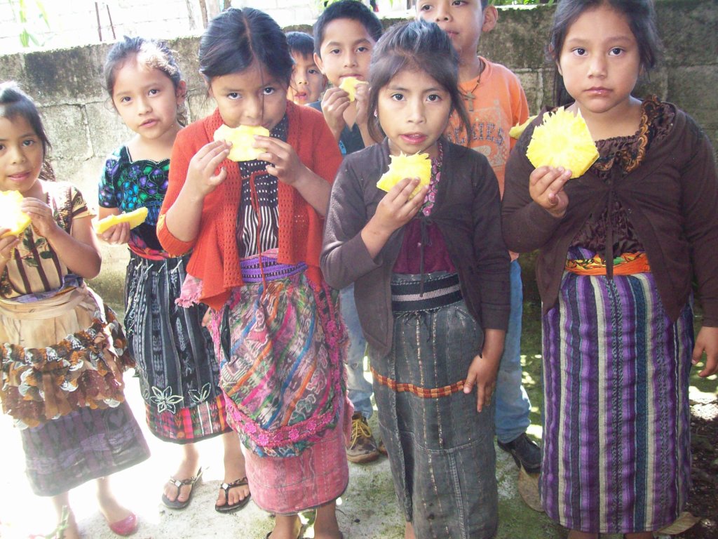 Food & fruit for primary schools in Latin America