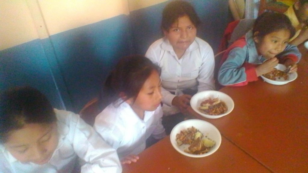 Food & fruit for primary schools in Latin America