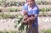 Food & fruit for primary schools in Latin America