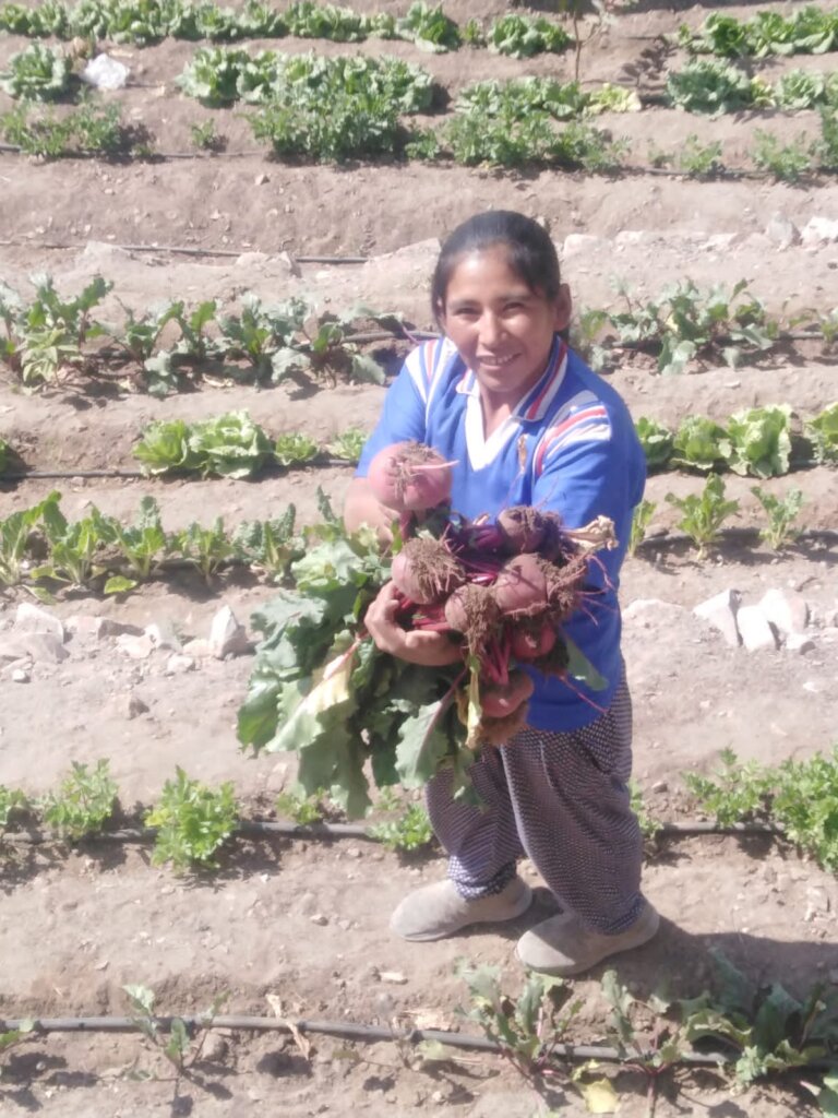 Food & fruit for primary schools in Latin America