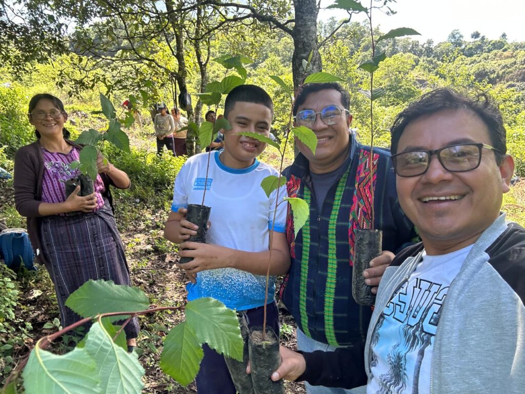 Reforestation